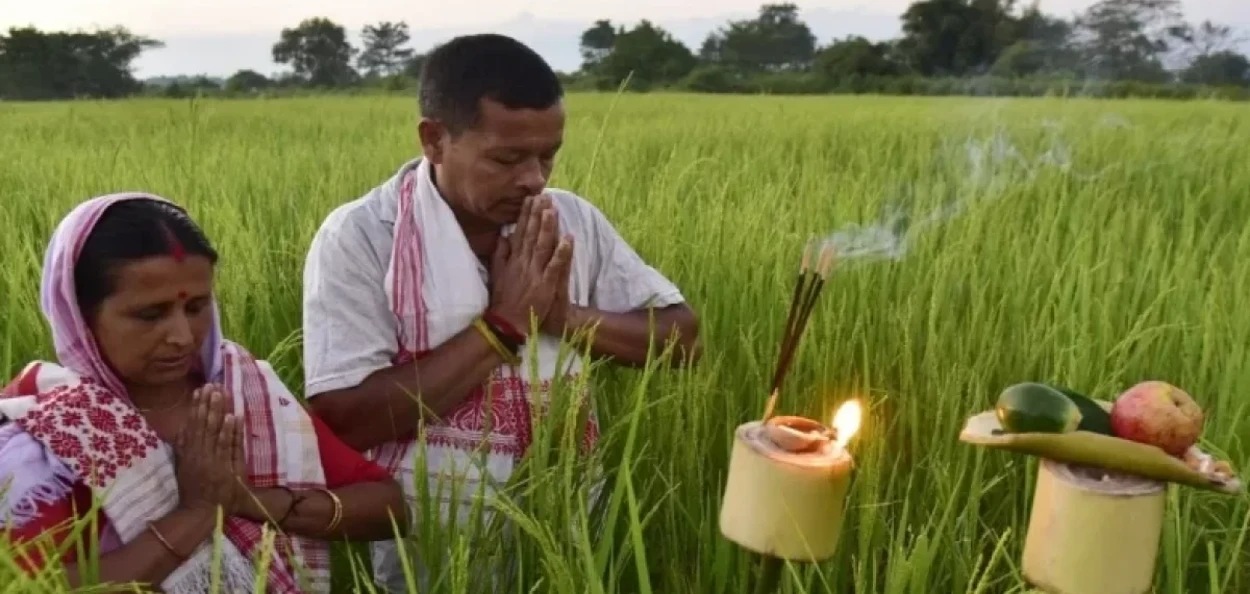 কাতি বিহুৰ দিনা অসমীয়া ৰাইজে পথাৰত চাকি জ্বলোৱা এক দৃশ্য