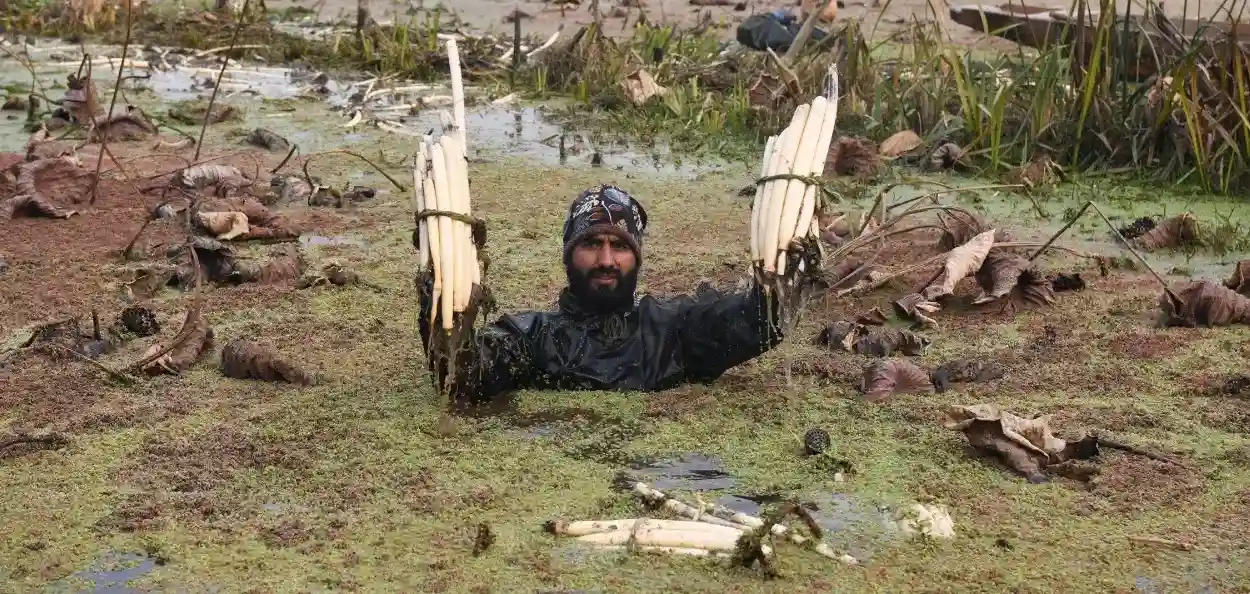 ইৰ্শ্বাদ খান