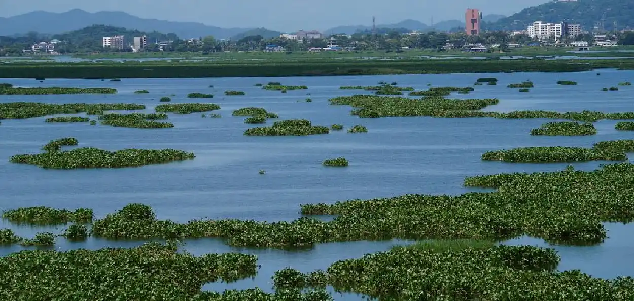 দীপৰ বিল