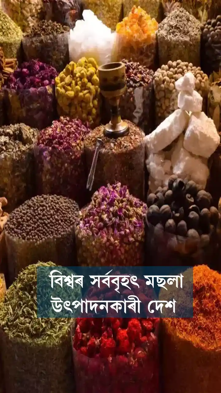 বিশ্বৰ সৰ্ববৃহৎ মছলা উৎপাদনকাৰী দেশ 